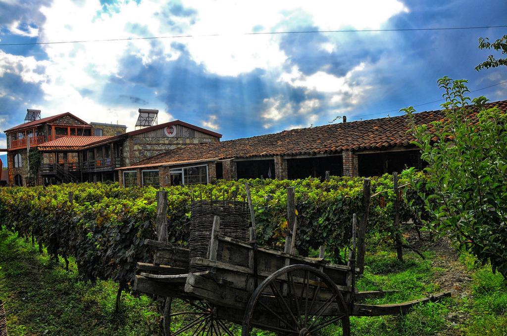 Twins Wine House Hotel Napareuli Kültér fotó