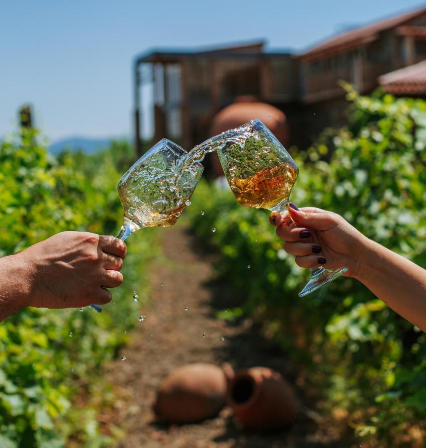 Twins Wine House Hotel Napareuli Kültér fotó
