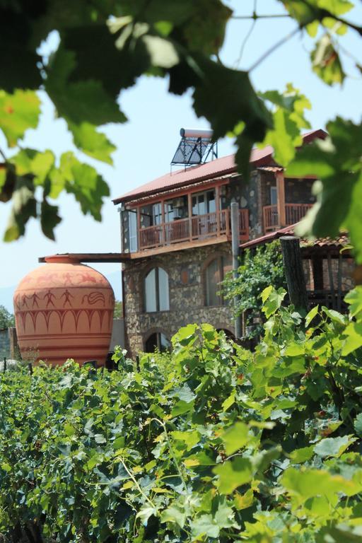 Twins Wine House Hotel Napareuli Kültér fotó