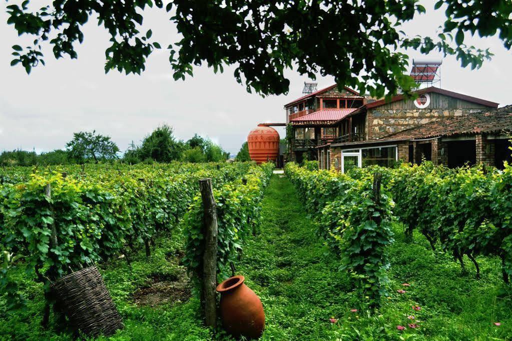 Twins Wine House Hotel Napareuli Kültér fotó
