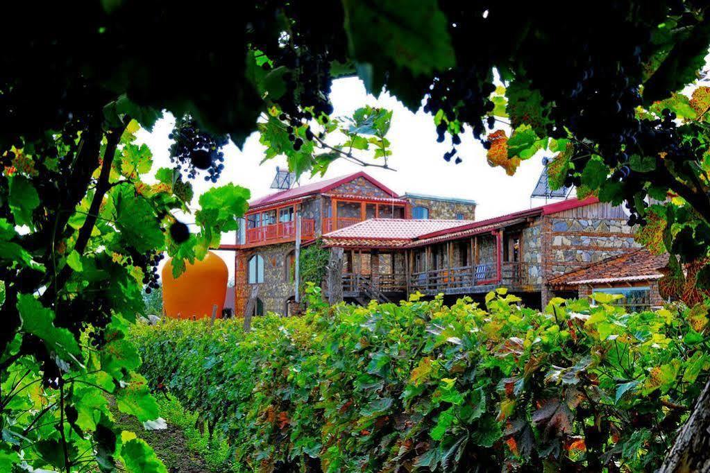 Twins Wine House Hotel Napareuli Kültér fotó
