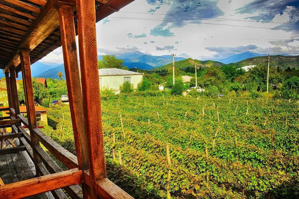 Twins Wine House Hotel Napareuli Kültér fotó